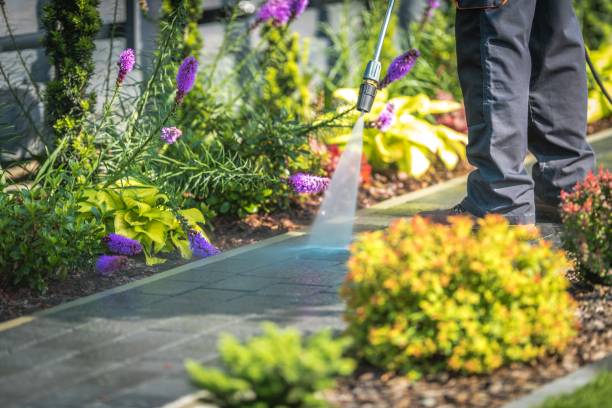 Best Pre-Holiday Cleaning  in Mpo, CA